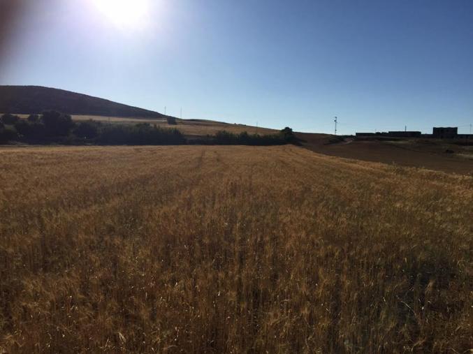 terrain ras-injla vue mer