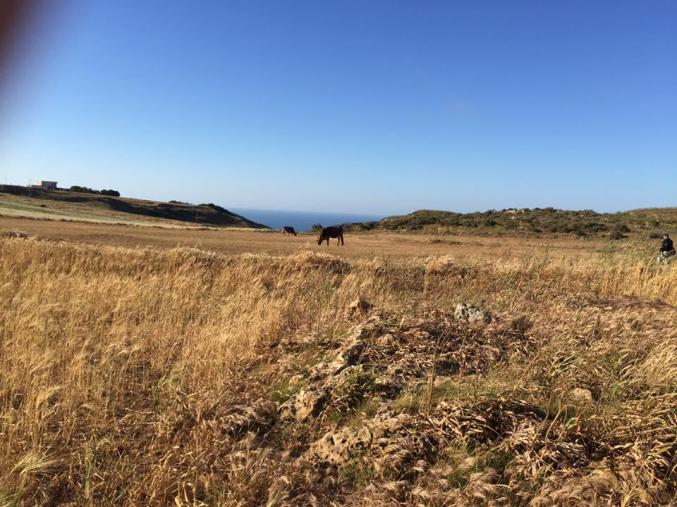 terrain ras-injla vue mer