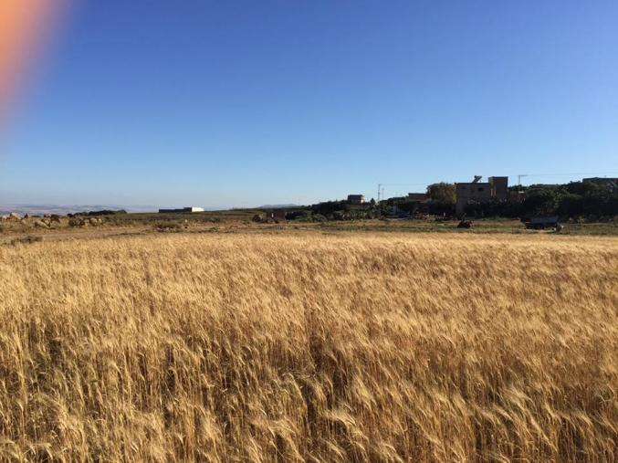 terrain ras-injla vue mer