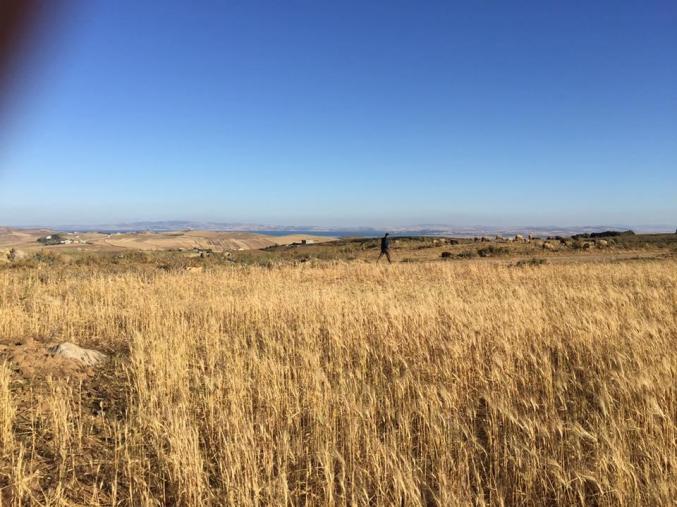 terrain ras-injla vue mer