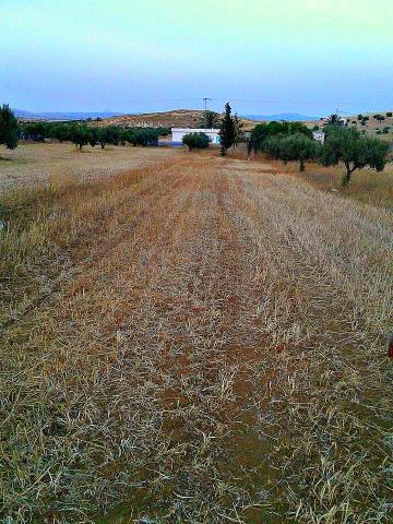 أرض فلاحية بالفحص