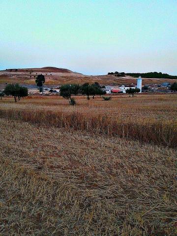 أرض فلاحية بالفحص