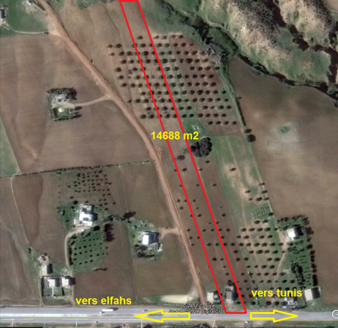 أرض فلاحية بالفحص