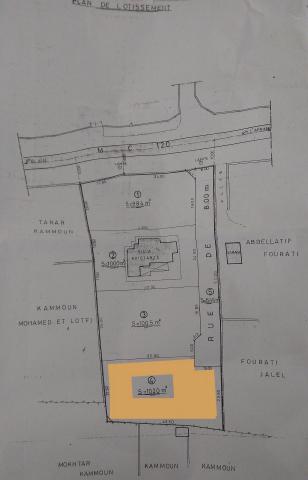 1020 M2 Rte Lafrane Km4 Merkez Jallouli