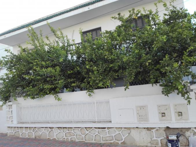 Grande maison a el MENZAH 5