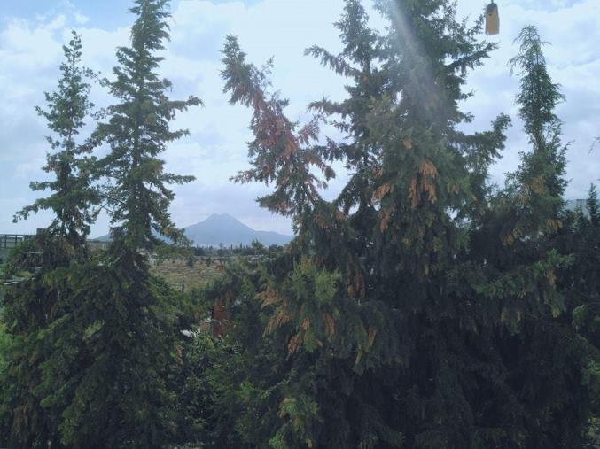 Très jolie appartement Radés meliane