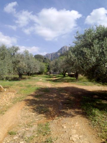 Av Terrain  a Mornag