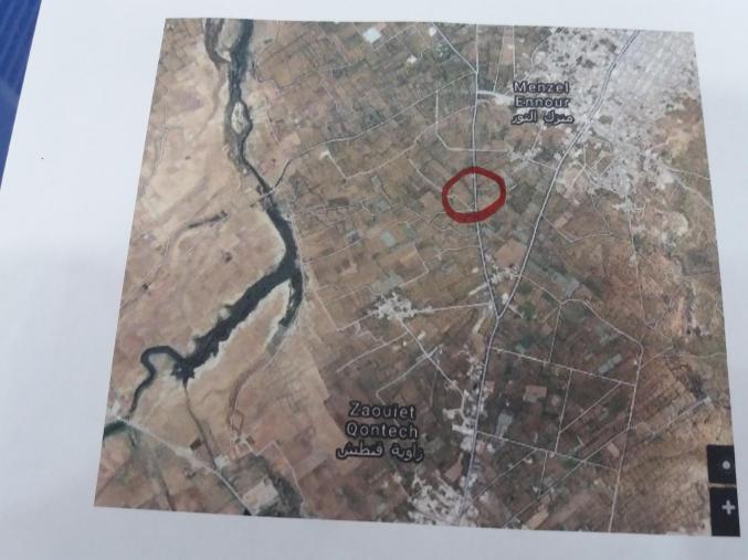 A vendre terrain agricol