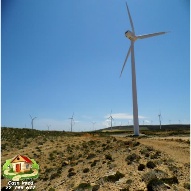 terrain 1 ere position sur mer