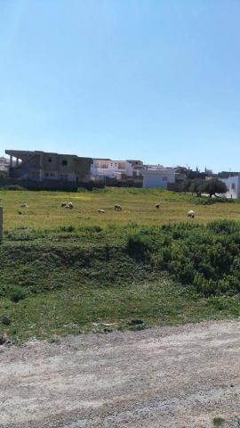 vendre terrain + villa