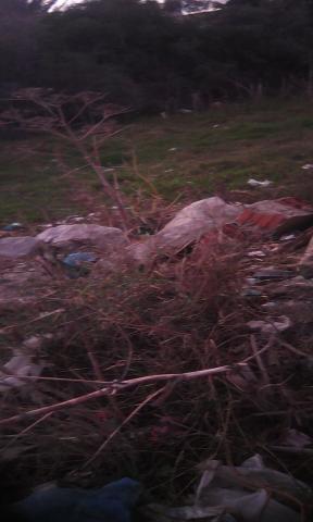 733m2 terrain a soukra chotrana1