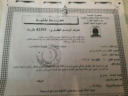 أرض براس إنجلة