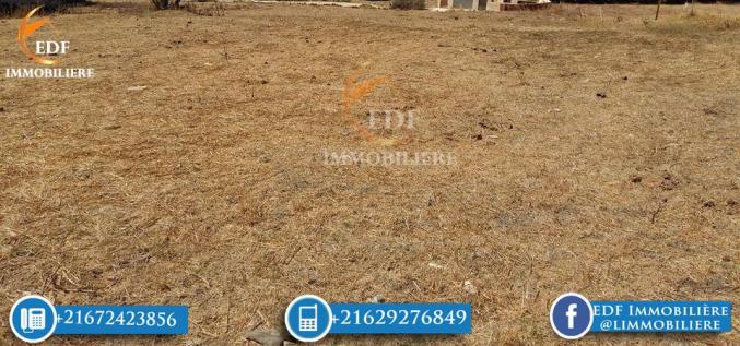 Réf 3022: 4 Lots à vendre à Borj Taleb Bizerte