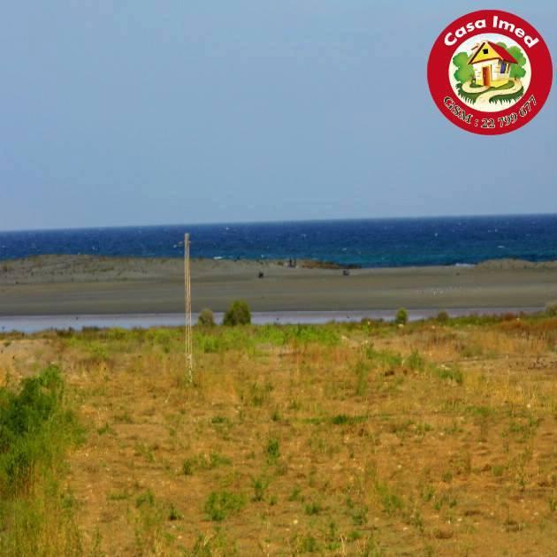 terrain à dar allouch de 220 m2 et 295 m2