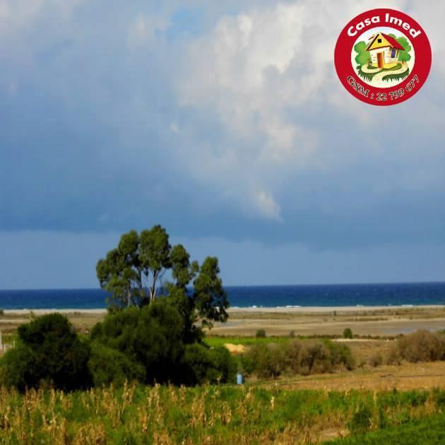 terrain à dar allouch de 220 m2 et 295 m2