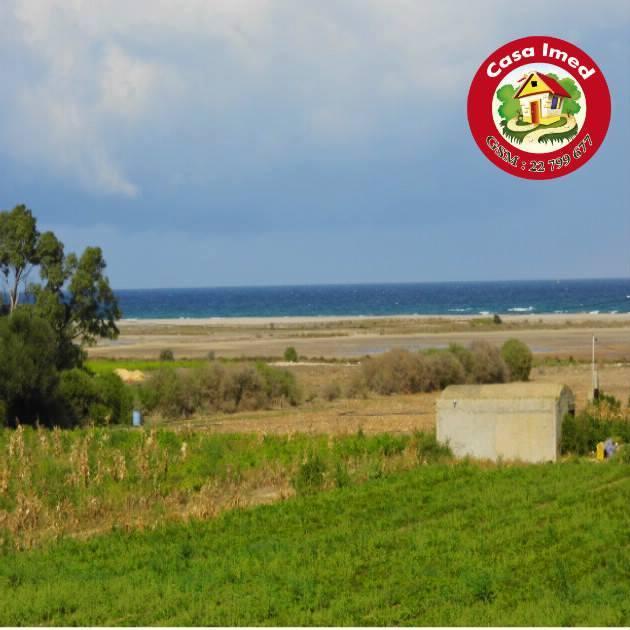 terrain à dar allouch de 220 m2 et 295 m2