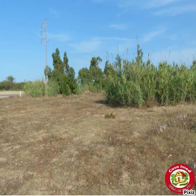 terrain à haouaria sur la route principale haouaria kélibia