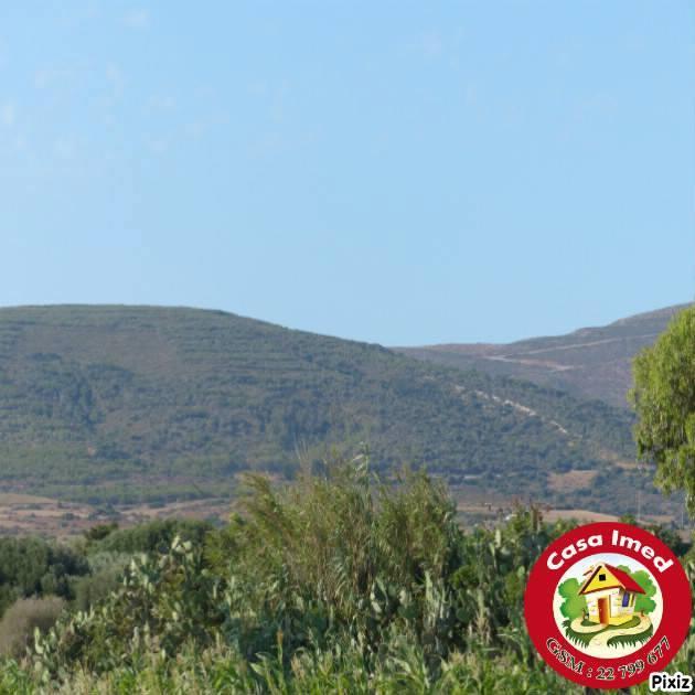 terrain à haouaria sur la route principale haouaria kélibia