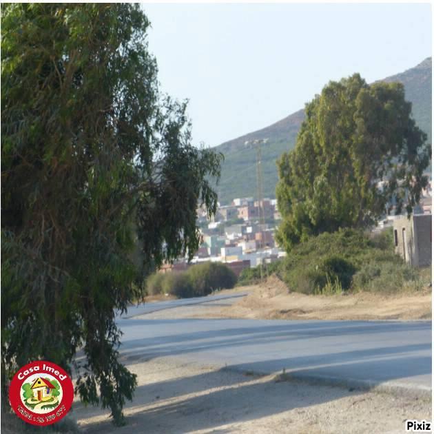 terrain à haouaria sur la route principale haouaria kélibia