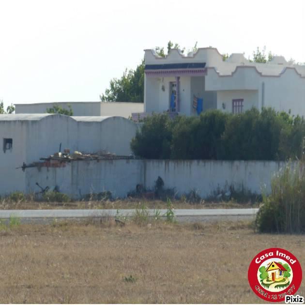 terrain à haouaria sur la route principale haouaria kélibia