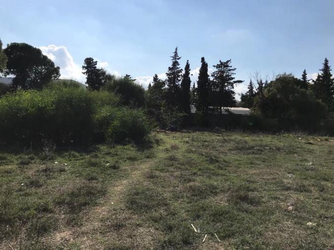 Terrain pr construction villa Chotrana