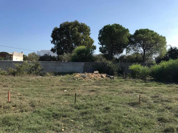 Terrain pr construction villa Chotrana