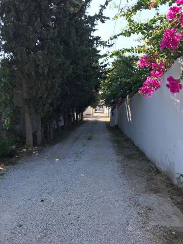 Terrain pr construction villa Chotrana