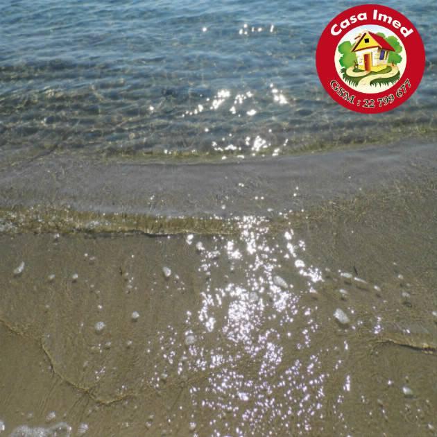 فرصة ما تتعوضش أرض عل بحر في دار علوش