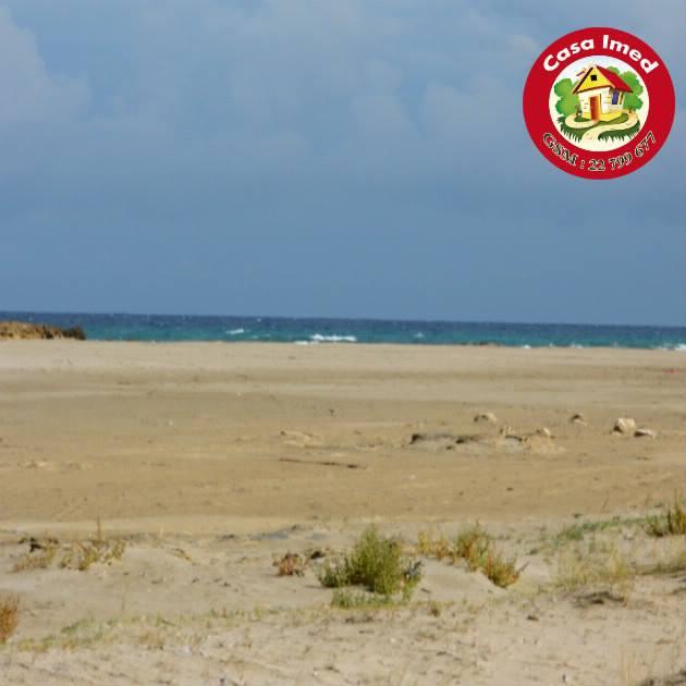 فرصة ما تتعوضش أرض عل بحر في دار علوش