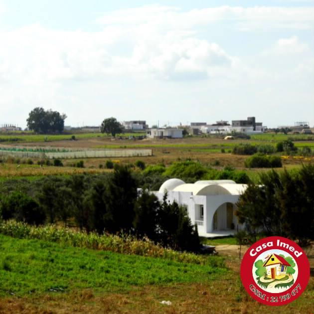 nouveau et exclusif super terrain