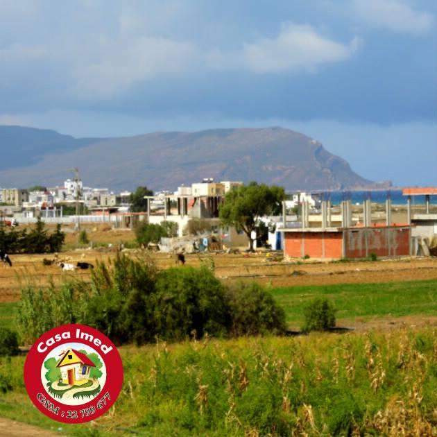 spéciale et nouveau offre a dar allouch