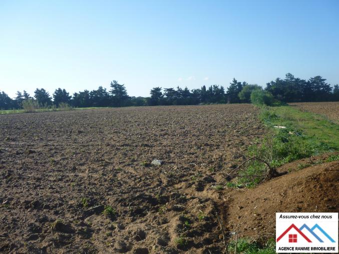 Terrain agricole de 11000 avec titre bleu