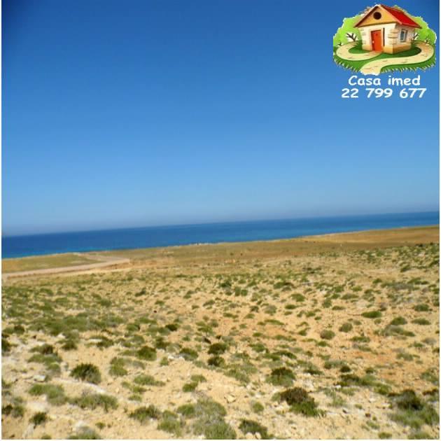 150dt mètre sur la plage de Hawaria