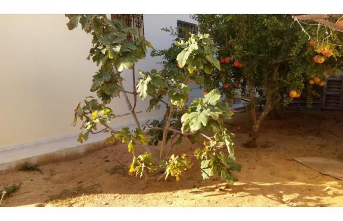 Villa meziena lilbi3