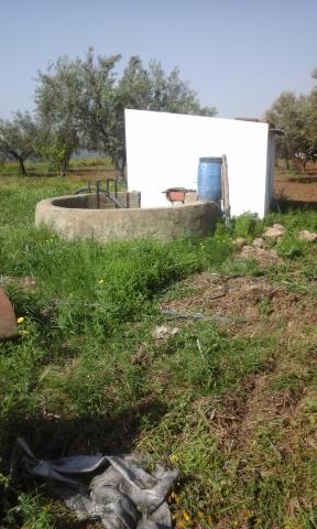 AV Belle ferme à borj amri