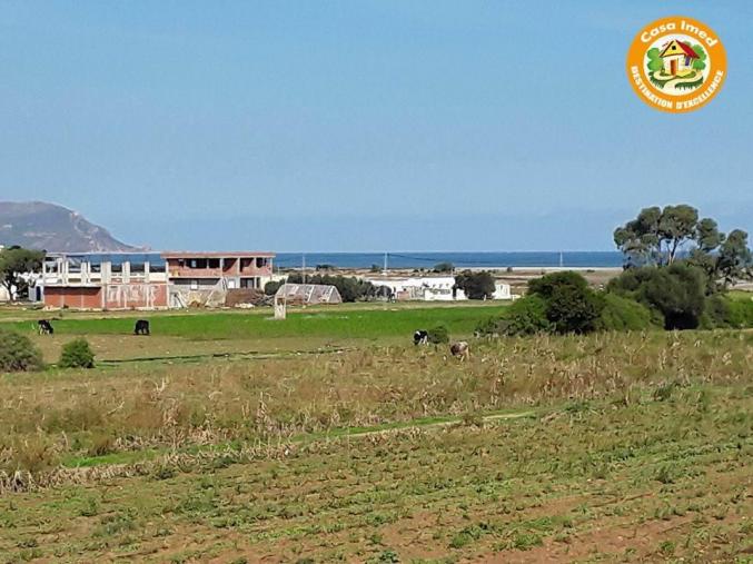 offre spéciale 220m² à 150dt/m² à dar allouch