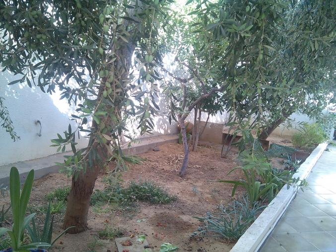 villa avec local commercial 500m2