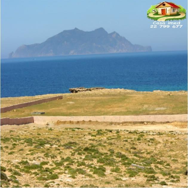 فرصة العمر للي يحب يصيف مرتاح