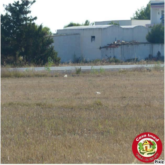 قطعة أرض في الهوارية