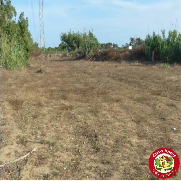 قطعة أرض في الهوارية