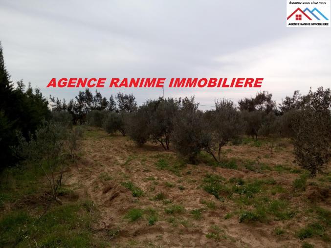 Ferme de 1 hectare 5000 avec titre bleu