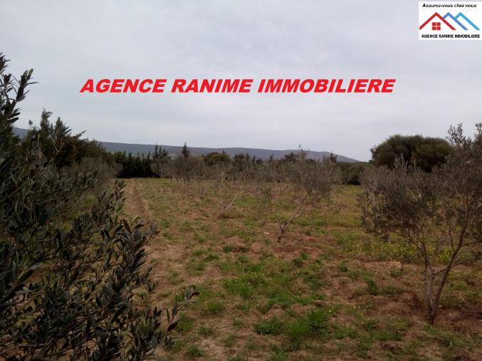 Ferme de 1 hectare 5000 avec titre bleu