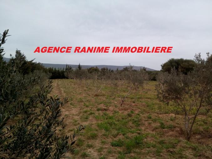 Ferme de 1 hectare 5000 avec titre bleu