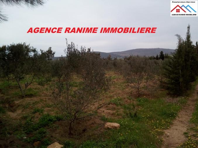 Ferme de 1 hectare 5000 avec titre bleu