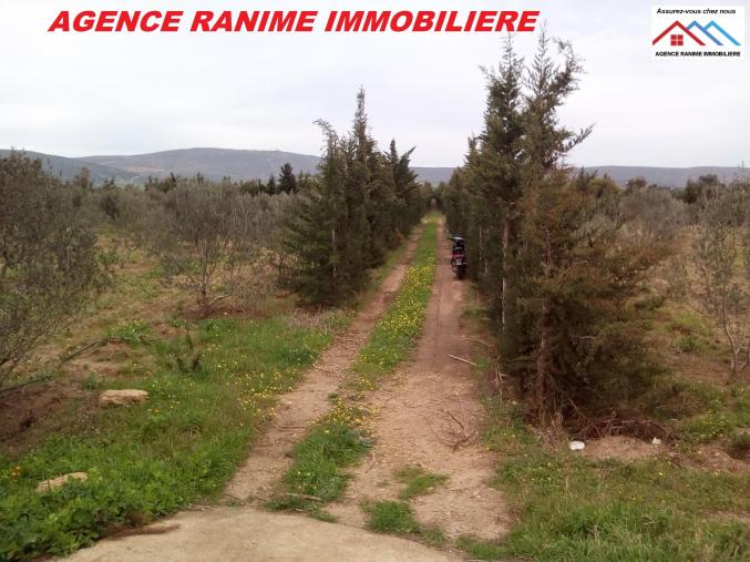 Ferme de 1 hectare 5000 avec titre bleu