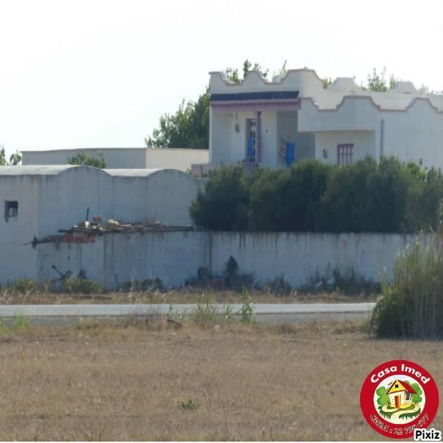 إستثمار مش نورمال