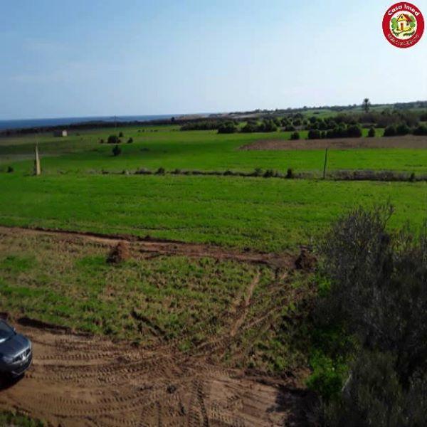 إستثمار مش نورمال