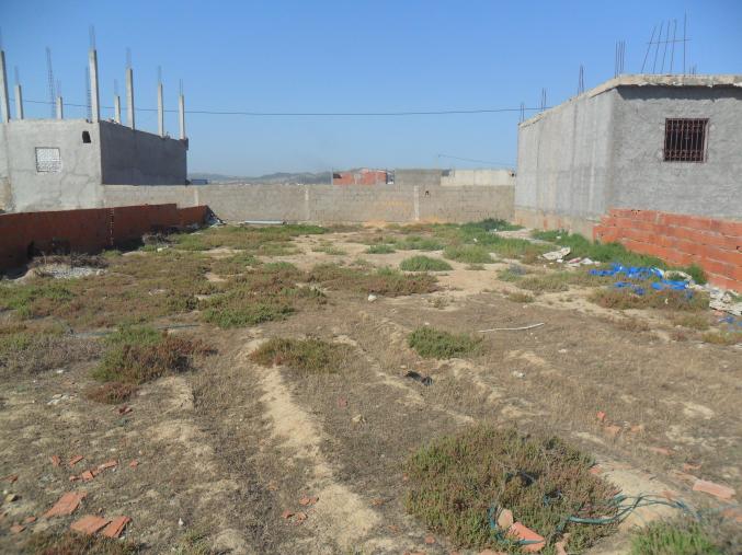 route de la plage raoued