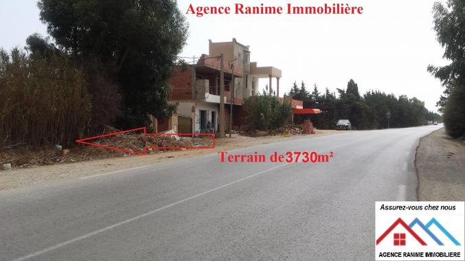 Terrain commercial a dar allouche de 3730m2 tbleu