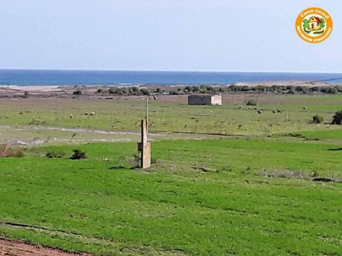 قطعة أرض مزيانة برشة في بلاصة طيارة عالبحر